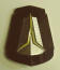 1962 Plymouth Belvedere Hood plastic emblem insert